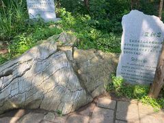 -大连金石滩滨海国家地质公园