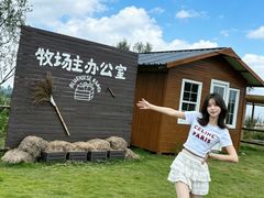-空港花田景区