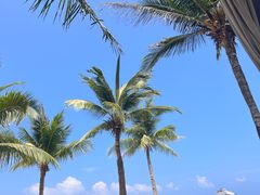 -三亚太阳湾柏悦酒店