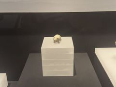 -上海崧泽遗址博物馆