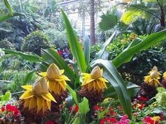 -呀路古热带植物园