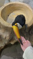 -Zoolung Zoolung动物主题公园(海信广场店)