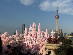 -迈瑞米求婚策划(静安店)