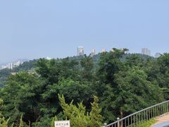 -青岛电视塔