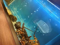 -西村日本料理(香格里拉饭店)