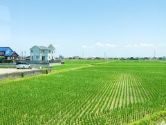-三井奥特莱斯购物城(爵士之梦长岛店)