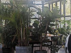 -北马山庄植趣咖啡