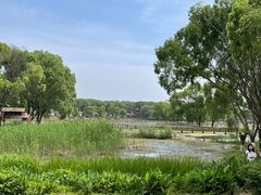 -洪湖生态旅游区