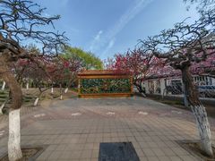 -桃花堤公园