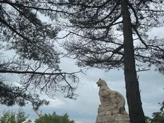 -帽儿山国家森林公园