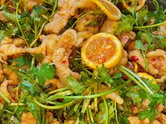 -树木岭集贸市场(劳动东路)