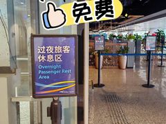 -广州白云国际机场-T2航站楼