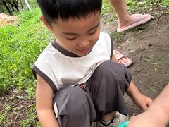 -长白岛森林公园