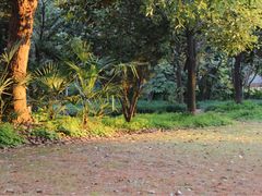 -苏州河梦清园环保主题公园