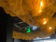 -顶特勒·黄鱼馆·特色菜(上海大世界店)