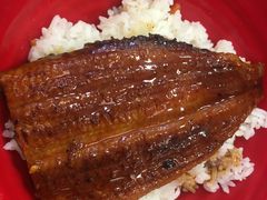 -食其家·牛丼咖喱(广元西路店)
