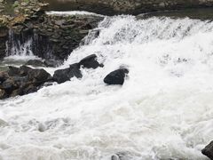 -白河湾生态旅游一条川