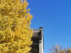 -北京石刻艺术博物馆(五塔寺)