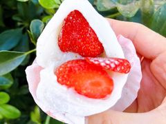 -澳门长洲糯米糍(柯打苏沙街店)