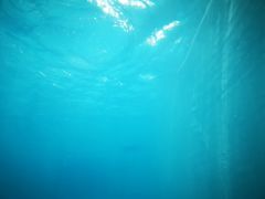 -上海潜殿潜水中心