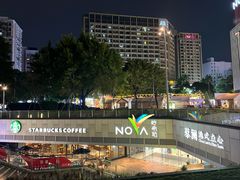 -岭南站NOVA