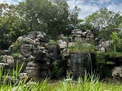-莲花池公园