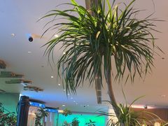 -桂满陇·杭州小馆(巴黎春天浦建店)