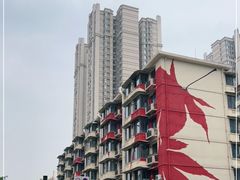 -降龙爪爪(建设路2店)