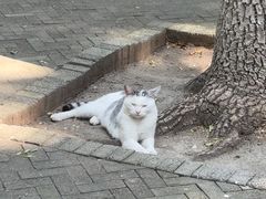 -宣武艺园