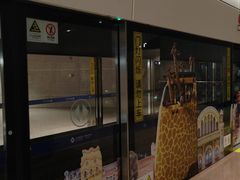 -龙阳路磁悬浮列车总站-停车场