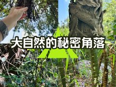 -草庵摩尼教遗址公园