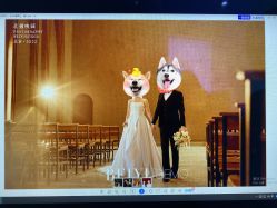 -北遇映画PHOTO GRAPHY STUDIO
