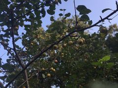 -南京金牛湖风景区