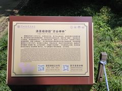 -灵谷景区