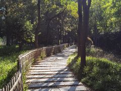 -上海山野camping·户外天幕烧烤·团建拓展营地