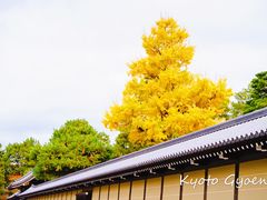 -京都御所