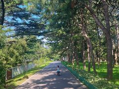 -国家植物园南园