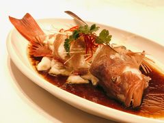 港式东星斑-杭州西湖柳莺里酒店·闻莺厅