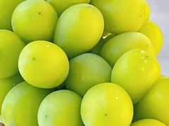 -大泽山风景名胜区