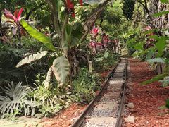 -呀路古热带植物园
