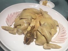 -大鸽饭(体育西路店)