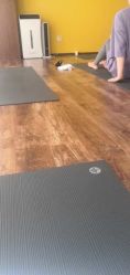 -FineYoga梵音瑜伽·普拉提