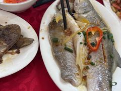 -蛇口康乐快餐鱼仔档(翠苑小区店)