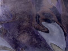 -天宠宠物医院24小时·急重症诊疗中心·全科·腔镜特色(和平分院)