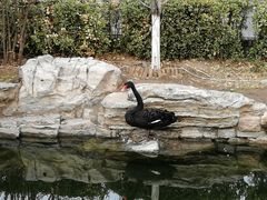 景点-三里河公园