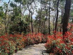-虞山风景区