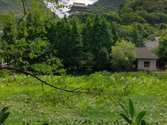 -贵阳市花溪国家城市湿地公园