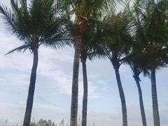 -深圳湾公园(南山区)