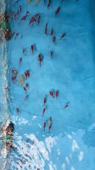 -萌宠亲子动物乐园(槐房万达店)