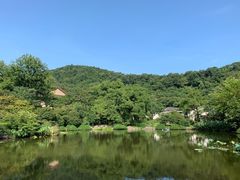 -杭州花家山庄